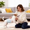 vidaXL Einweg-Hundewindel f&uuml;r R&uuml;den 30 pcs Wei&szlig; XS