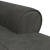 vidaXL Lounge-Liege mit Kissen Schwarz 91 x 157 x 91 cm Kunstleder
