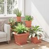 vidaXL Quadratischer Blumentopf 24 pcs Ziegelrot 38 x 38 x 30 cm
