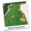 Dog Rocks Steine gegen Hunde-Urinflecken auf Rasen