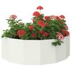 Produkt-Miniaturbild 3 von 12