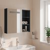 vidaXL Spiegelschrank mit LED-Beleuchtung Grau 60x13x52 cm