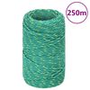 vidaXL Bootsseil Gr&uuml;n 2 mm 250 m Polypropylen