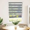vidaXL Zebra-Rollo 70,9 x 120 cm, Stoffbreite 66,7 cm, grau