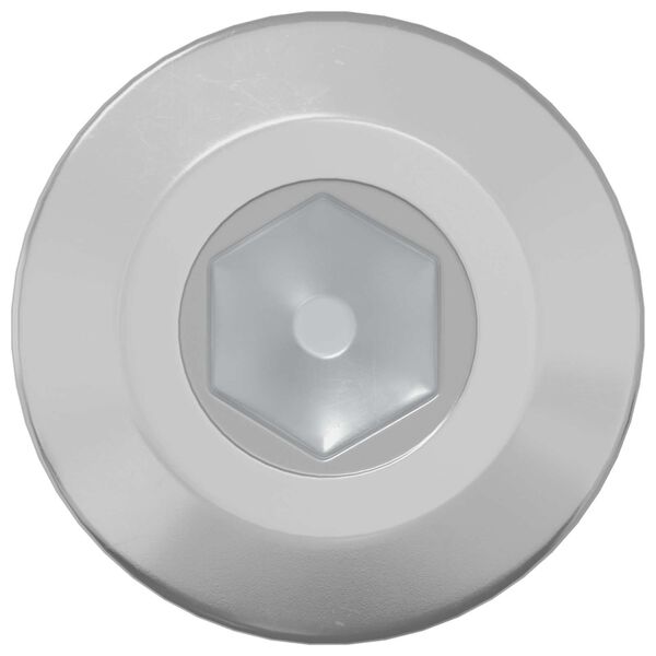 vidaXL Schraube 2 pcs Silber M6 x 85 mm Stahl