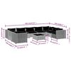 vidaXL 10-tlg. Garten-Lounge-Set mit Kissen Poly Rattan Schwarz