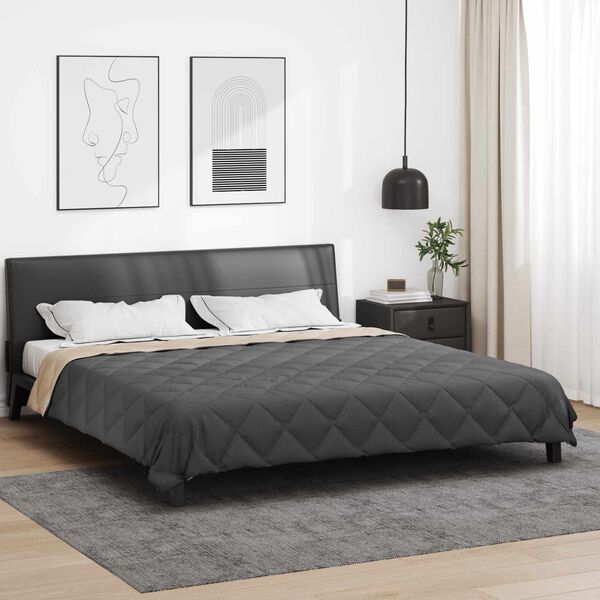 vidaXL Sommerdecke Anthrazit und Taupe 220 x 200 cm Mikrofaser