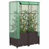vidaXL Hochbeet mit Gew&auml;chshaus-Aufsatz Rattan-Optik 80x40x138 cm