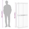 vidaXL Gartenschrank Schwarz 65x37x165 cm PP