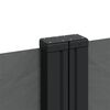 vidaXL Seitenmarkise Ausziehbar Anthrazit 120x600 cm