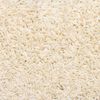 vidaXL Stufenmatten 20 Stk. 56x17x3 cm Creme Halbrund