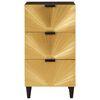 vidaXL Sideboard Schwarz und Gold 40 x 33 x 75 cm massives Mangoholz