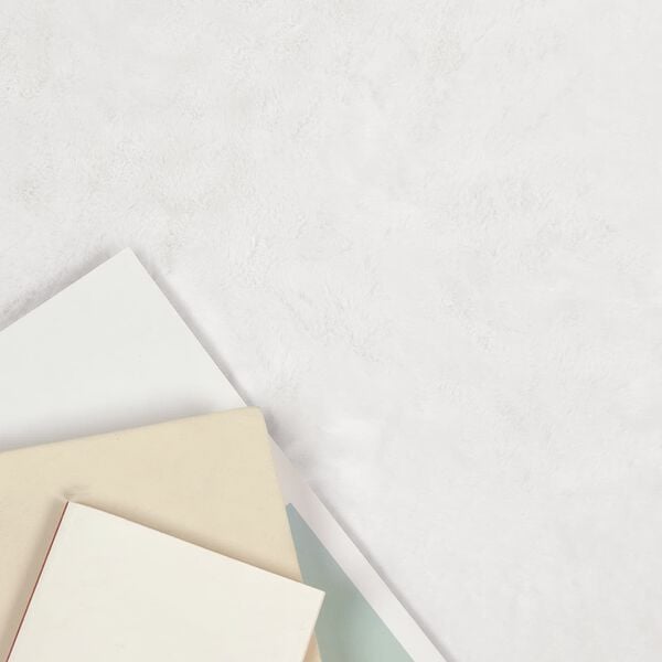 vidaXL Kunstfell Hasen Teppich Olite Wei&szlig; 60 x 90 cm Polyester