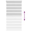 vidaXL Doppelrollo Hellgrau 90x150 cm Stoffbreite 85,9 cm Polyester