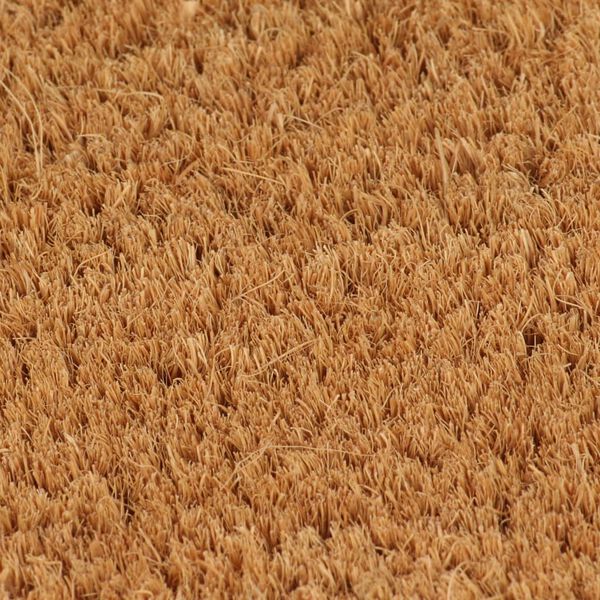 vidaXL Fu&szlig;matte Natur 60x90 cm Kokosfaser Getuftet