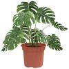 vidaXL Runder Blumentopf 6 pcs Ziegelrot &Oslash; 12,5 x 10 cm Kunststoff