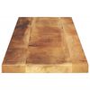 vidaXL Tischplatte 120x20x2,5 cm Rechteckig Raues Massivholz Mango