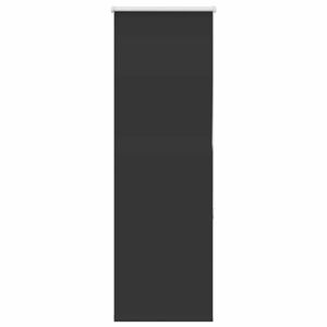 vidaXL Verdunkelungsrollo Schwarz 45x130 cm Stoffbreite 40,7 cm