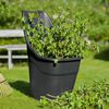 Nature Gartenkarre 65 L Grau