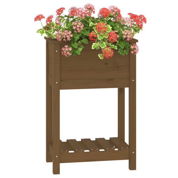 vidaXL Pflanzk&uuml;bel mit Ablage Honigbraun 54x34,5x81 cm Kiefernholz