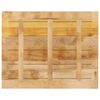 vidaXL Tischplatte 90x80x3,8 cm Rechteckig Raues Massivholz Mango