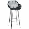 vidaXL Barstuhl 2 pcs Schwarz 55 x 52 x 105 cm Rattan und Eisen
