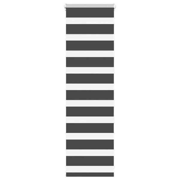 vidaXL Doppelrollo Schwarz 50x100 cm Stoffbreite 45,9 cm Polyester