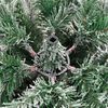 vidaXL K&uuml;nstlicher klappbarer Weihnachtsbaum Gr&uuml;n und Wei&szlig; 240 cm