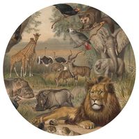 WallArt Fototapete Animals of Africa 142,5 cm