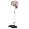 vidaXL Basketballständer Schwarz 216-250 cm Polyethylen