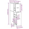 vidaXL Apothekerschrank Schwarze Eiche 30 x 41 x 118 cm Holzwerkstoff