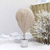 vidaXL Winterschutz fur Pflanzen Beige 50 x 3,2 m Vliesstoff
