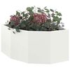 Produkt-Miniaturbild 3 von 12