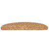 vidaXL Stufenmatten 30 Stk. 65x21x4 cm Beige Halbrund Gro&szlig;