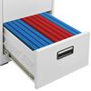 vidaXL Aktenschrank Hellgrau 46x62x133 cm Stahl