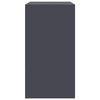 vidaXL Sideboard Anthrazit 67x39x73 cm Stahl