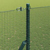 vidaXL Zaunpfosten Gr&uuml;n 50 x 1,5 m (12 x 12 mm Maschen) Stahl und PVC