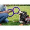 Ferplast Hunde-Spielring Puller Standard Lila 2 Stk.
