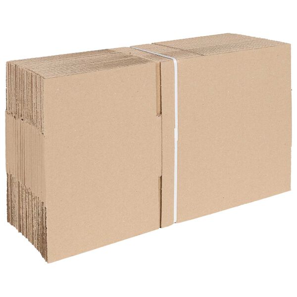 vidaXL Faltbox mit Speicher 50 pcs Natur 25 x 17,5 x 10 cm Karton
