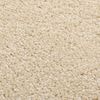 vidaXL Teppich Kurzflor 160x230 cm Beige