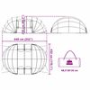 vidaXL Poolzelt Kuppel Transparent 640 x 432 x 205 cm