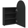 vidaXL Spiegelschrank mit LED-Beleuchtung Gew&ouml;lbt Schwarz 42x13x70 cm