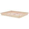 vidaXL Massivholzbett ohne Matratze 160x200 cm