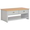 vidaXL Couchtisch Grau 100x50x42 cm