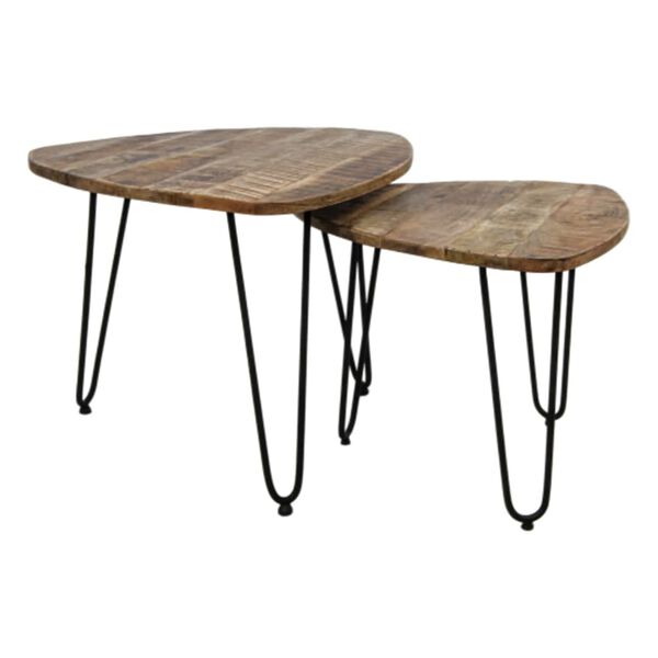 HSM Collection 2-tlg. Couchtisch-Set Dexter