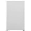 vidaXL Aktenschrank Hellgrau 46x62x102,5 cm Stahl