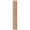 vidaXL Vitrine mit Regal Artisan-Eiche 60 x 8,5 x 58 cm Holzwerkstoff