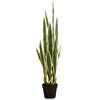 Emerald K&uuml;nstliche Sansevieria im Kunststofftopf 97 cm