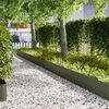 vidaXL Raseneinfassung 50 pcs Olive Gr&uuml;n 100 x 0,05 x 20 cm