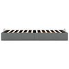 vidaXL Ottoman-Bett ohne Matratze Dunkelgrau 100x200 cm Stoff